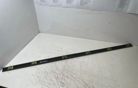 BMW 5 E39 Front door trim (molding) 8159296
