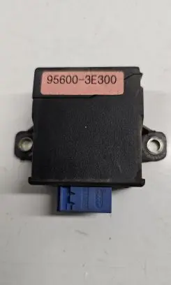 KIA Sorento Other control units/modules 956003E300