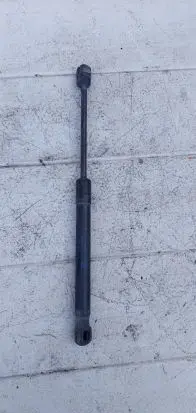 Tailgate strut