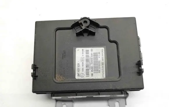 Hyundai Santa Fe Other devices 954002WDH0