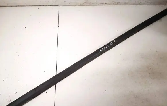 Nissan X-Trail T30 Rear door glass trim molding