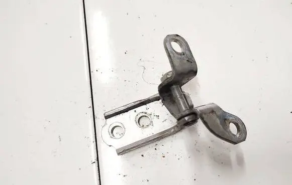 Lexus RX 300 Rear door lower hinge