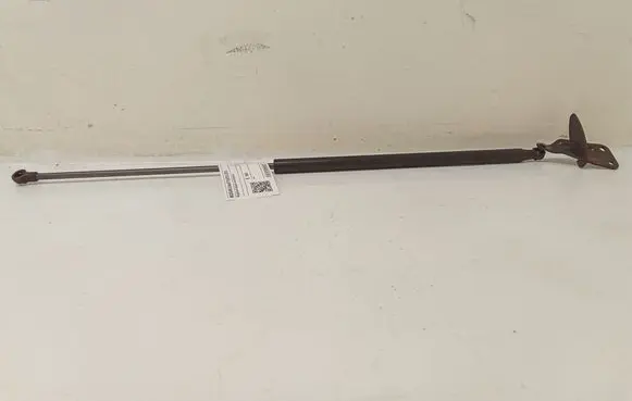 Nissan Juke I F15 Tailgate strut 