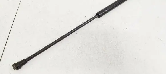 Tailgate/trunk strut/damper