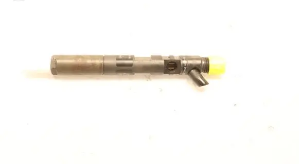 Renault Megane III Fuel injector EJBR05102D