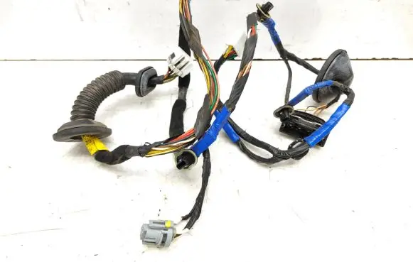 Hyundai Sonata Rear door wiring loom 916603K020