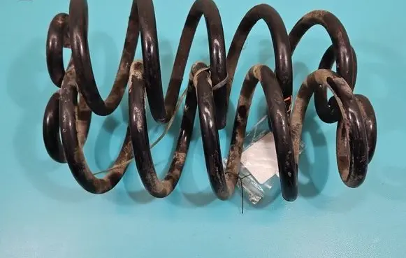 Rear coil spring