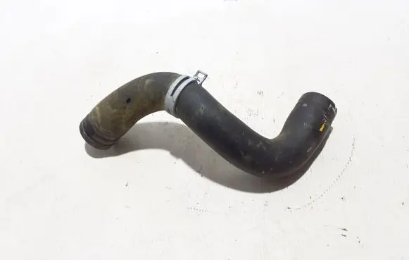 Dacia Sandero III Engine coolant pipe/hose 215038971R
