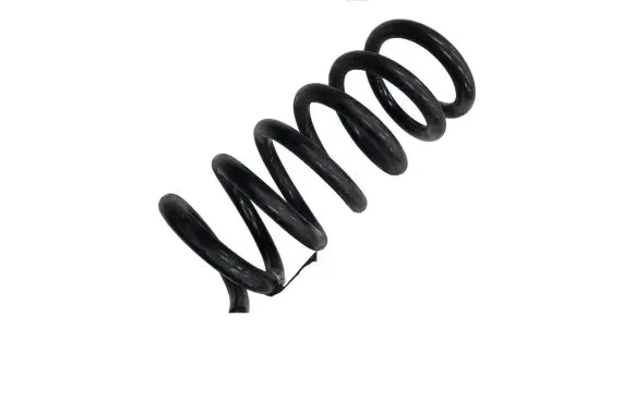 Ford Mustang VI Rear coil spring FR3C5560HA