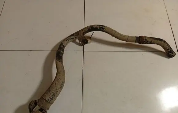 Opel Signum Fuel tank filler neck pipe 