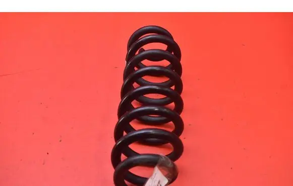 Opel Insignia A Rear coil spring 