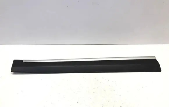 MG ZS Front door trim (molding) 10360762