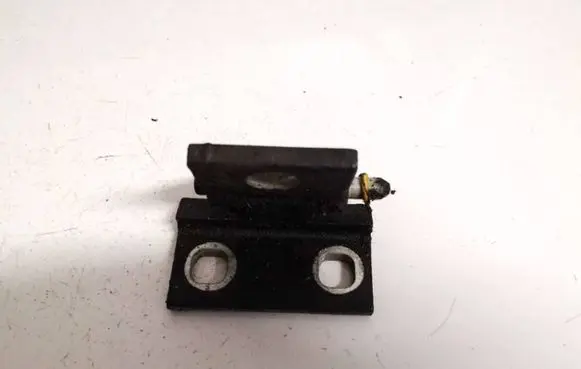 Volvo S80 Rear door lower hinge