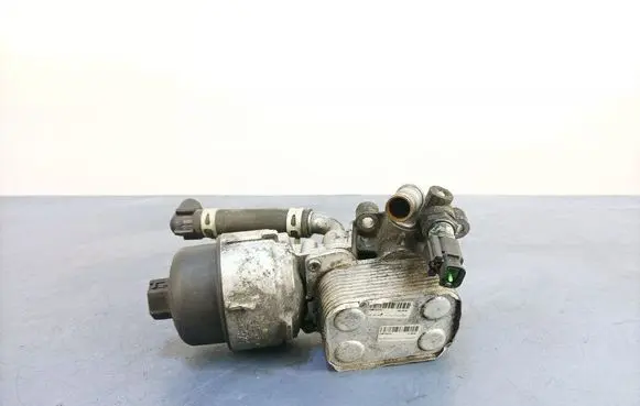 Peugeot 508 RXH Engine oil radiator 