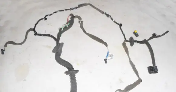 Renault Laguna III Front door wiring loom/harness boot 241250116R