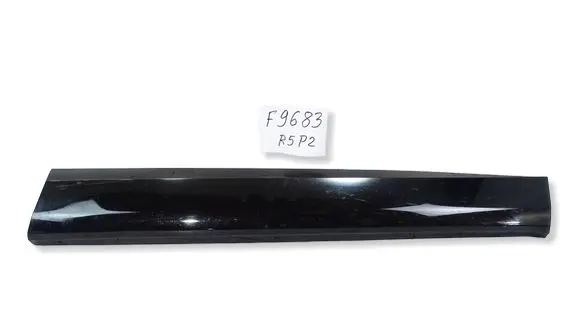 Renault Austral Front door trim (molding) 808203097RA