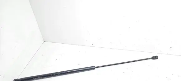 Hyundai Sonata Front bonnet/hood damper/strut 811613K000