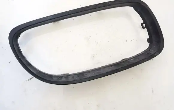 Front grill