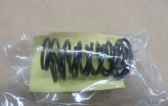 Renault Zoe Front coil spring 1424631006