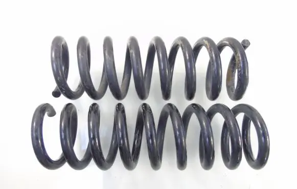 Rear coil spring