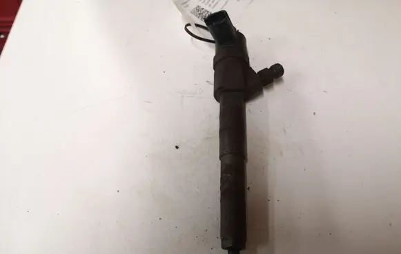 Opel Signum Fuel injector 0445110243