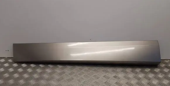 Front door trim (molding)