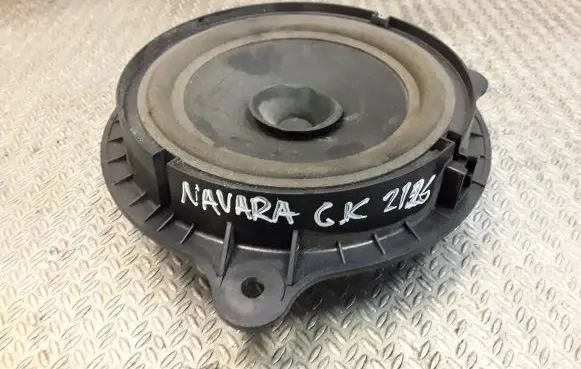 Rear door speaker