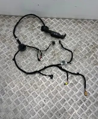 Audi Q4 Sportback e-tron Front door wiring loom TAB010403EF 2247200999 4L0971841P