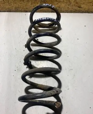 Rear coil spring
