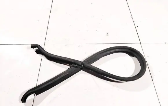 Renault Trafic II (X83) Rubber seal front coupe door 