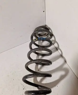Rear coil spring