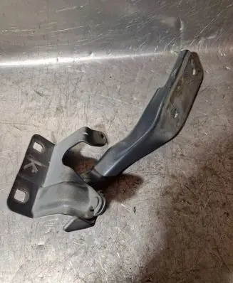 Renault Koleos I Engine bonnet/hood hinges