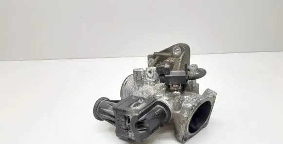 EGR valve