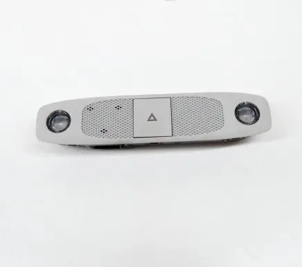 Tesla Model 3 Front seat light 109257300L