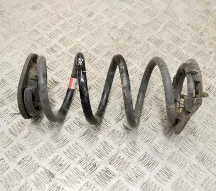 Tesla Model 3 Rear coil spring 104447201E
