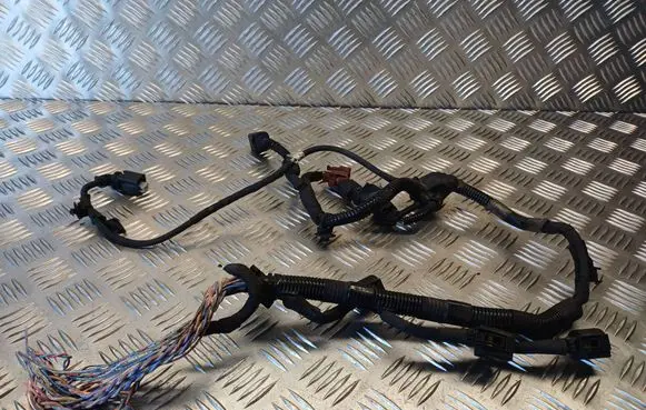 Citroen C5 Fuel injector wires 61097003B