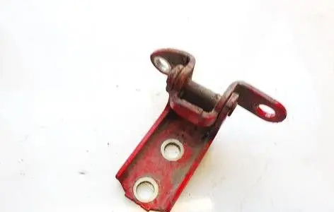 Rear door lower hinge