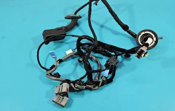 Front door wiring loom