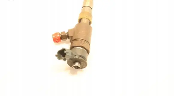Citroen Berlingo Fuel injector 0445110566