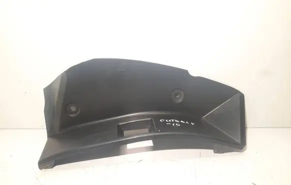 Rear/tail light trim molding