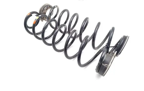 Rear coil spring