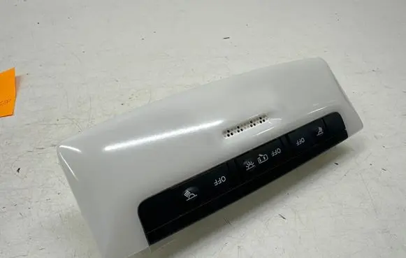 Nissan Leaf II (ZE1) Front seat light