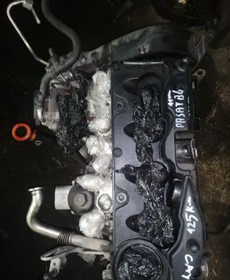 Volkswagen PASSAT B6 Engine CAY
