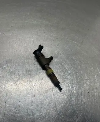 Citroen C3 Fuel injector 0445110339