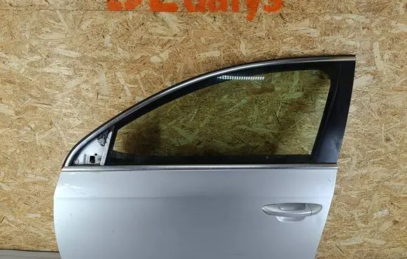 Volkswagen PASSAT B6 Front door