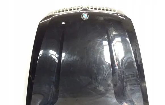 BMW X6 E71 Engine bonnet/hood
