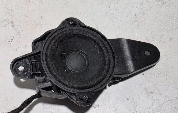 Front door speaker
