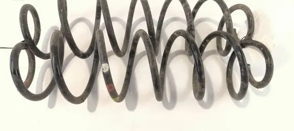 Rear coil spring