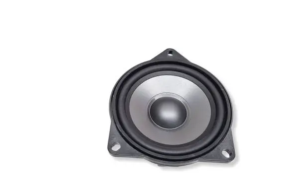 BMW 7 E65 E66 Rear door speaker 9144975 65139144975