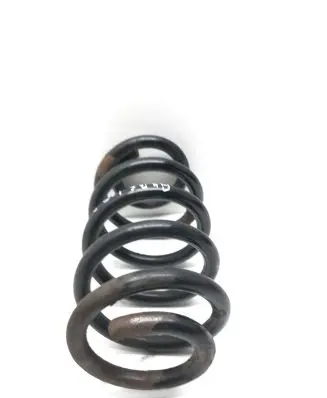 Front coil spring